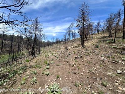 Lot 11 Alpine Village Drive, Ruidoso, New Mexico 88345