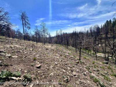 Lot 11 Alpine Village Drive, Ruidoso, New Mexico 88345