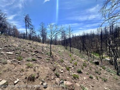 Lot 11 Alpine Village Drive, Ruidoso, New Mexico 88345