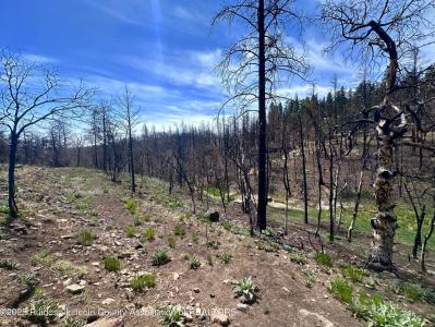 Lot 11 Alpine Village Drive, Ruidoso, New Mexico 88345