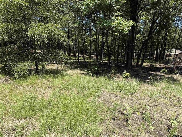 TBD PR 5861 (LOT 5), Yantis, Texas 75497, Estados Unidos
