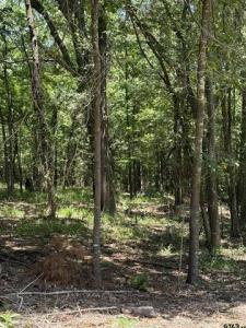 TBD PR 5861 (LOT 5), Yantis, Texas 75497, Estados Unidos