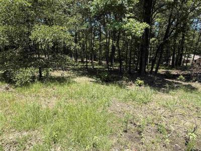 TBD PR 5861 (LOT 6), Yantis, Texas 75497, HOA KỲ