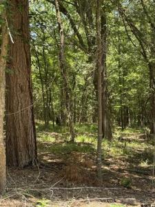 TBD PR 5861 (LOT 6), Yantis, Texas 75497, HOA KỲ