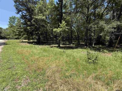 TBD PR 5861 (LOT 7), Yantis, Texas 75497, États-Unis