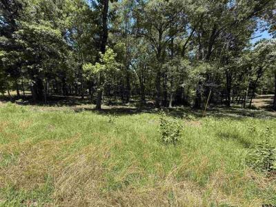 TBD PR 5861 (LOT 7), Yantis, Texas 75497, États-Unis