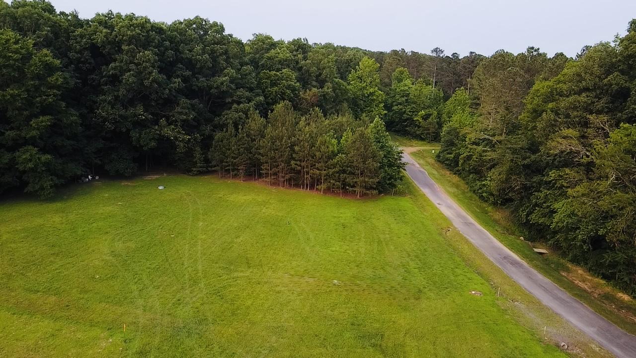4.14 Acres Salem Minor Hill Road, Lester, 阿拉巴马州 35647, 美国