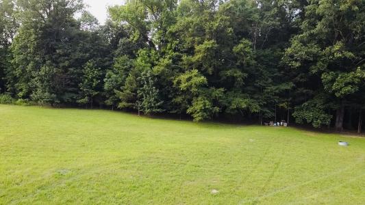 4.14 Acres Salem Minor Hill Road, Lester, 阿拉巴马州 35647, 美国