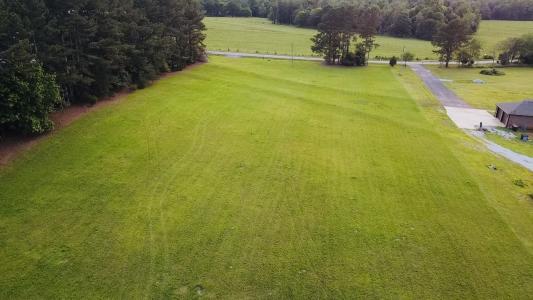 4.14 Acres Salem Minor Hill Road, Lester, 阿拉巴马州 35647, 美国