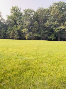 4.14 Acres Salem Minor Hill Road, Lester, 阿拉巴马州 35647, 美国
