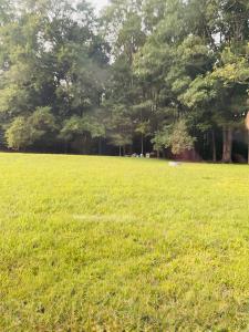 4.14 Acres Salem Minor Hill Road, Lester, 阿拉巴马州 35647, 美国