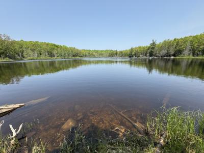 8677 N Davis Rd, Oma, ウィスコンシン 54534, アメリカ合衆国