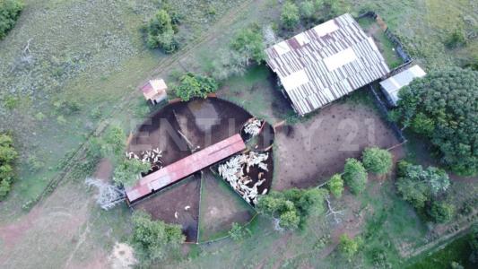 Puerto Carreño, Vichada 00001, Colombia