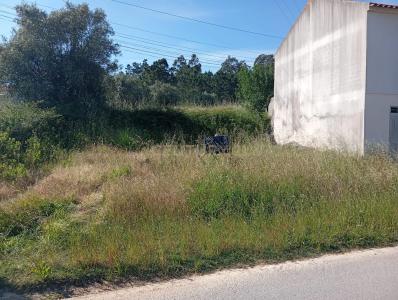 Soure, 코임브라 3130-046   Ribeira da Mata, 포르투갈