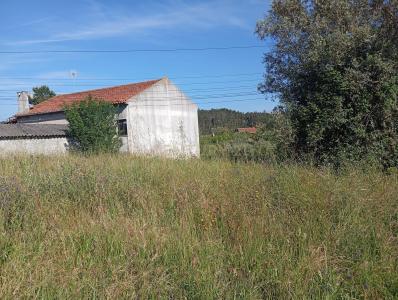 Soure, Coimbra 3130-046   Ribeira da Mata, Portekiz