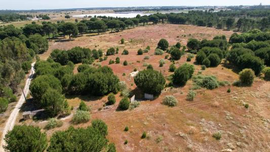 Montijo, Setúbal 2985, Portugal