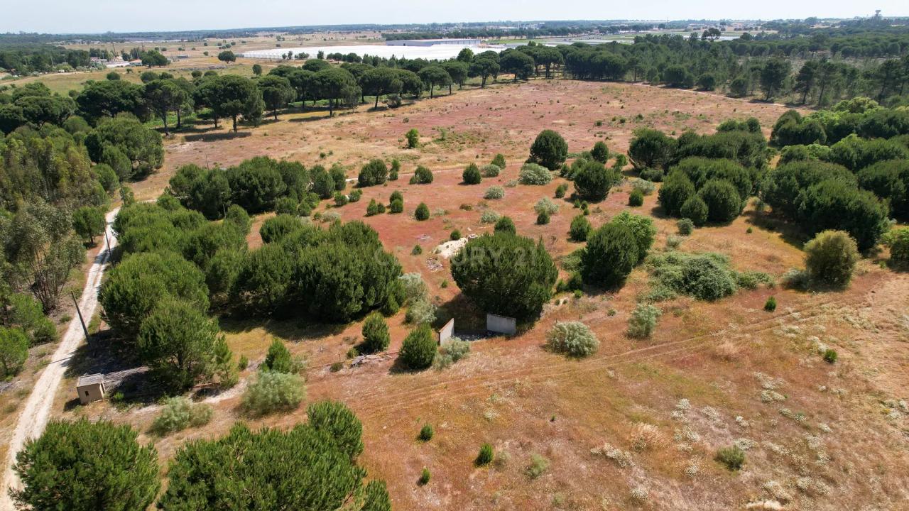 Montijo, Setubal 2985, Portugal