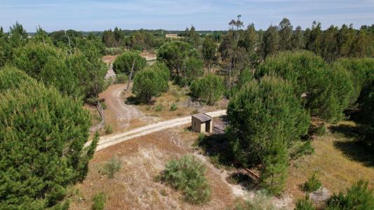 Montijo, Setubal 2985, Portugal