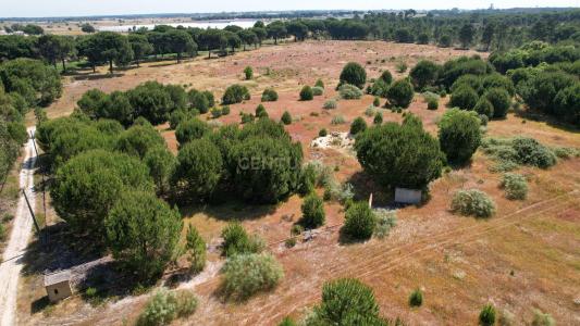 Montijo, Setubal 2985, Portugal
