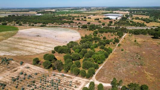 Montijo, Setubal 2985, Portugal