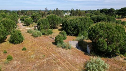 Montijo, Setubal 2985, Portugal