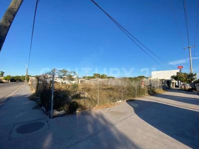 Ahome, Sinaloa 81233, Meksyk