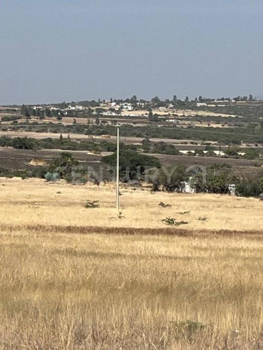 Jerecuaro, ولاية غواناخواتو 38555, المكسيك