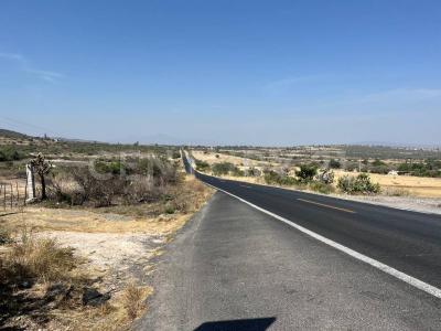 Jerecuaro, ولاية غواناخواتو 38555, المكسيك