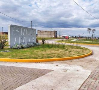 1600 , Alvear, Santa Fe 2126, Argentina