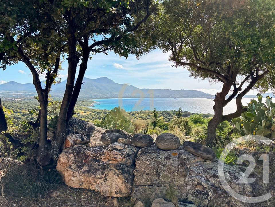 Lumio, Corse 20260, Pháp