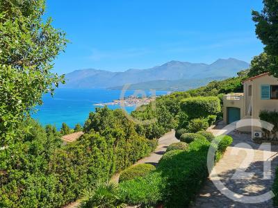 St Florent, Corse 20217, 프랑스