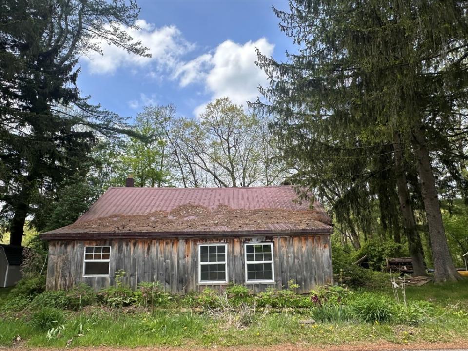 26 Pleasant Valley Road, Port Crane, New York 13833, Amerika Birleşik Devletleri