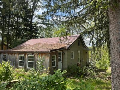 26 Pleasant Valley Road, Port Crane, NY 13833, USA