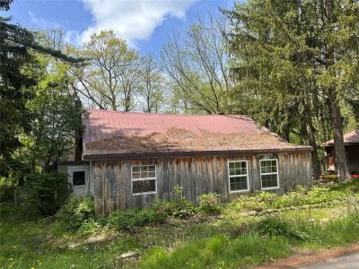 26 Pleasant Valley Road, Port Crane, New York 13833, Amerika Birleşik Devletleri