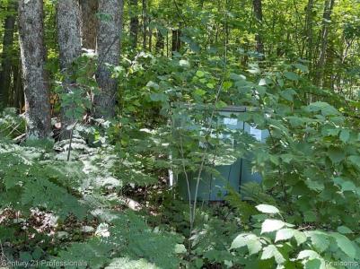 Lot 789 Redwine DR, HoughtonLake, Michigan 48653, Estados Unidos