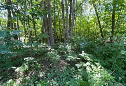 Lot 789 Redwine DR, HoughtonLake, Michigan 48653, Estados Unidos