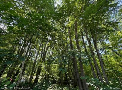 Lot 789 Redwine DR, HoughtonLake, Michigan 48653, Estados Unidos