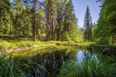 12494 Hillcrest, Nevada City, 加州 95959, 美國