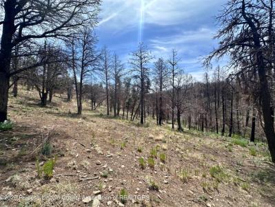 Lot 10 Alpine Village Drive, Ruidoso, New Mexico 88345