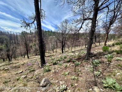 Lot 10 Alpine Village Drive, Ruidoso, New Mexico 88345