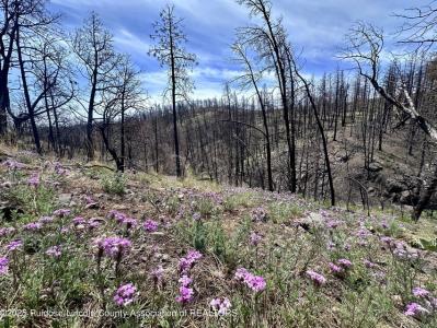 Lot 5-9 Alpine Village Drive, Ruidoso, New Mexico 88345, HOA KỲ