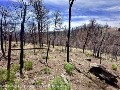 Lot 5-9 Alpine Village Drive, Ruidoso, New Mexico 88345, HOA KỲ