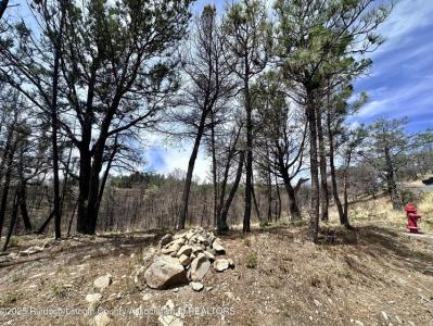 Lot 5-9 Alpine Village Drive, Ruidoso, New Mexico 88345, HOA KỲ