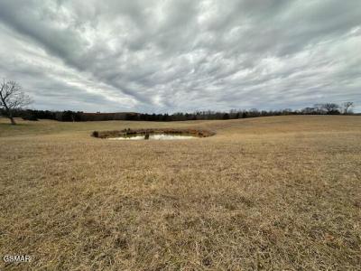 Lot 7 Valley Home Rd. Road, Dandridge, Tennessee 37725, USA