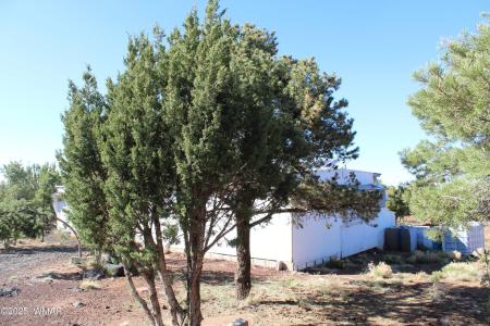 113 County Road 8092 Cedar, Concho, Arizona 85924, Estados Unidos