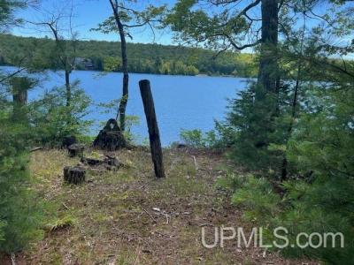 TBD 4a and 4b Frimodig, Eagle Harbor, Michigan 49950, USA