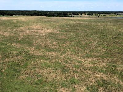 Lot 4 FM 514, Point, Texas 75472, Estados Unidos