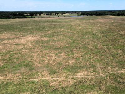 Lot 4 FM 514, Point, Texas 75472, Estados Unidos