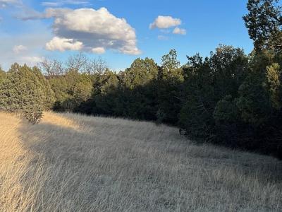 Lot 319 Santiago Circle, Alto, Nouveau-Mexique 88312, États-Unis