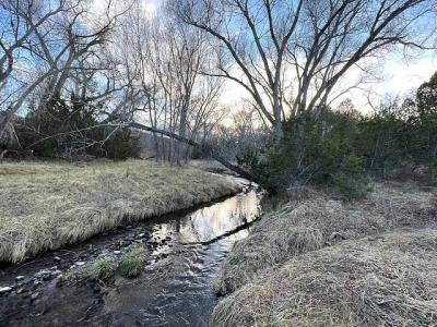 Lot 319 Santiago Circle, Alto, Nouveau-Mexique 88312, États-Unis